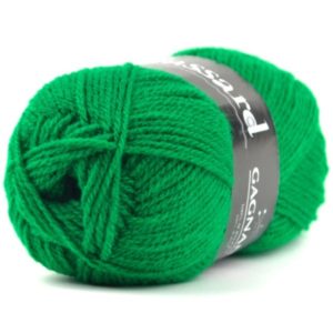 GAGNANTE N°928 de PLASSARD Sachet de 10 Pelotes Coloris Vert Bécassine