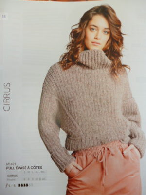 Cirrus “Haut de Gamme” Coloris 10565 Pourpre – Nouveau fil 2020/21